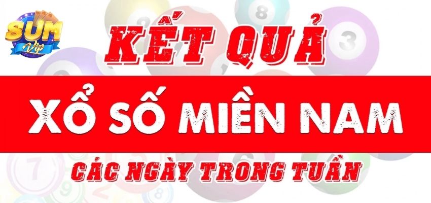 Phân tích và theo dõi cầu lô thường xuyên để chọn ra những con số đẹp có tỷ lệ về cao nhất 