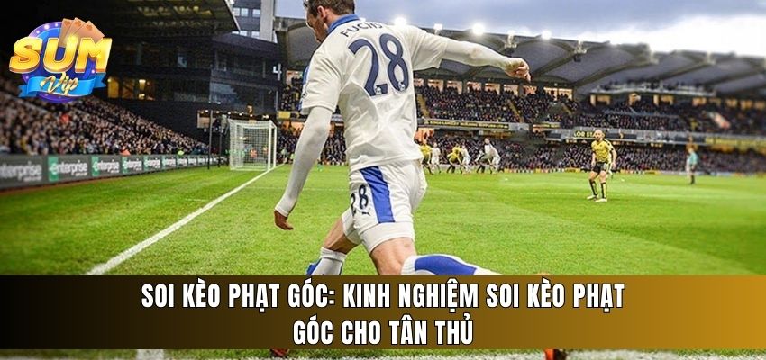 soi kèo phạt góc